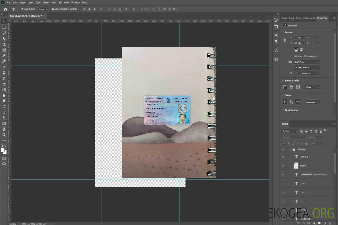 Photolook de la carte e-PAN Inde AVANT template